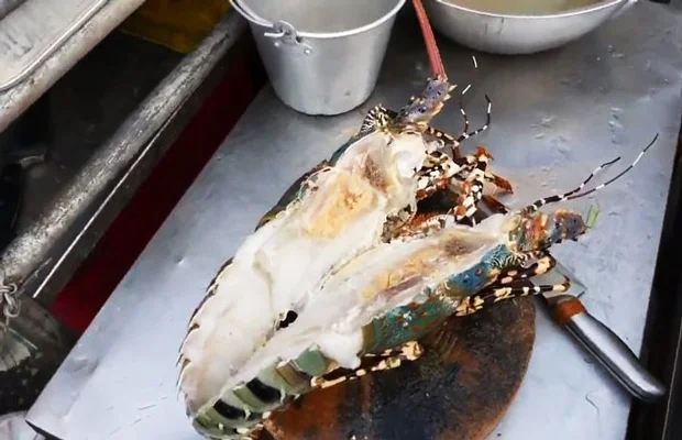 chẻ tôm hùm làm đôi