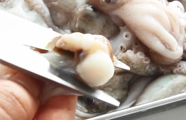 sơ chế bạch tuộc