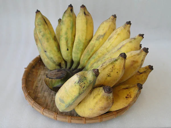 Chọn chuối chín vừa tới