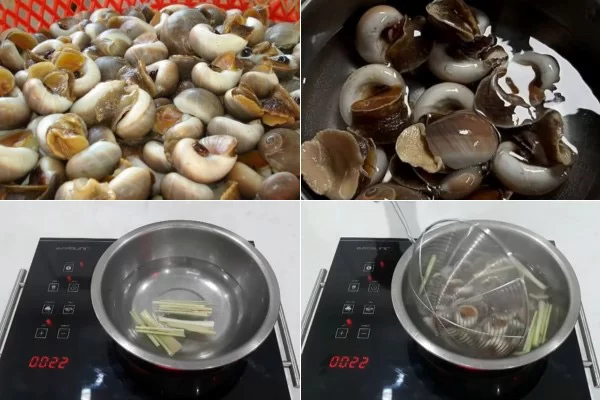 Sơ chế và luộc sơ ốc mỡ để thịt ốc giòn
