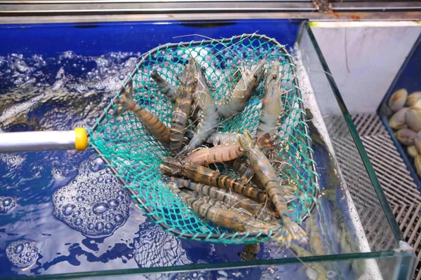 Cách chọn tôm sú tươi ngon