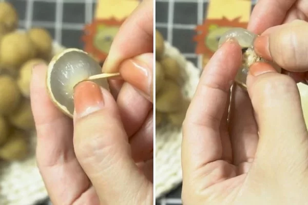 cách sơ chế nhãn