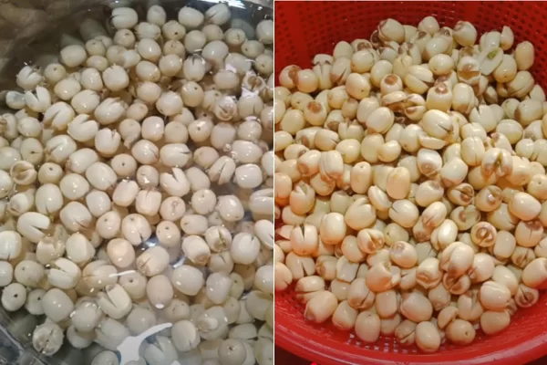 Nếu nấu bằng hạt sen khô nên ngâm với nước ấm