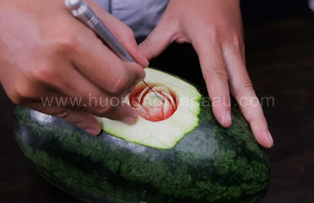 học cắt tỉa trái cây