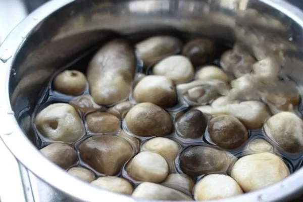 Sơ chế nấm rơm như thế nào