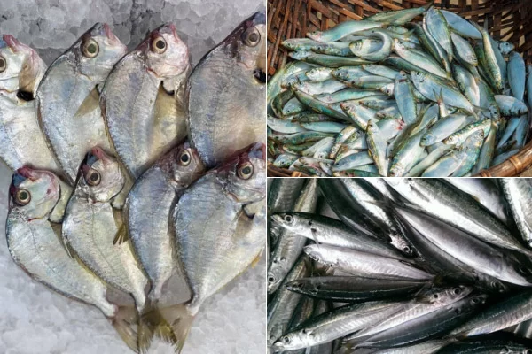 Cách Làm Mắm Nêm Xay Nhuyễn