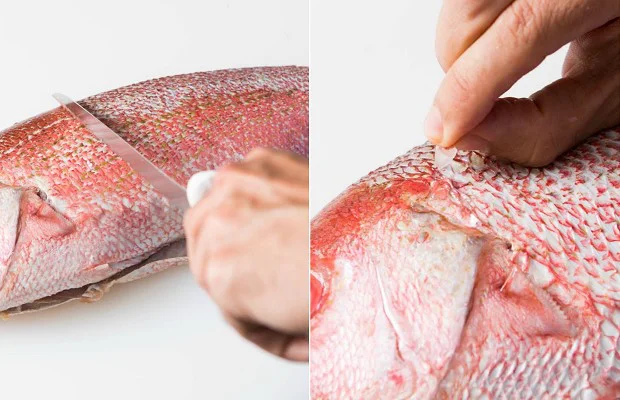 Đánh sạch vảy cá