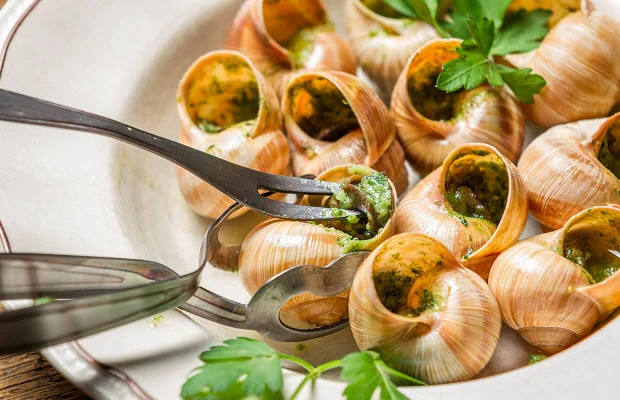 Ốc sên món ăn thời thượng