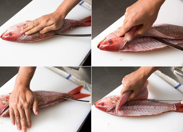 Phi-lê dọc sống lưng cá