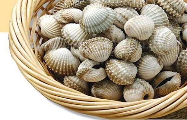 Sò huyết chà sạch, để ráo Sò huyết chà sạch, để ráo