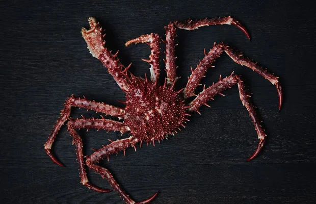 điểm nghiên cứu sinh học biển