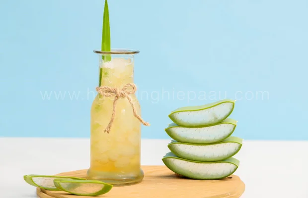 nước ép thạch nha đam