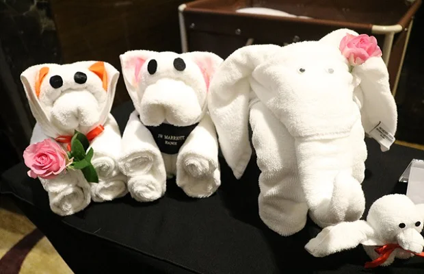 chiêm ngưỡng và trải nghiệm cách gấp khăn