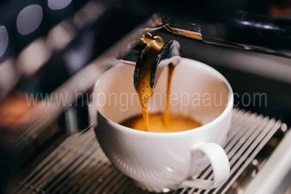 chiết xuất espresso