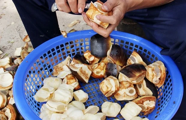 tách vỏ thốt nốt lấy thịt
