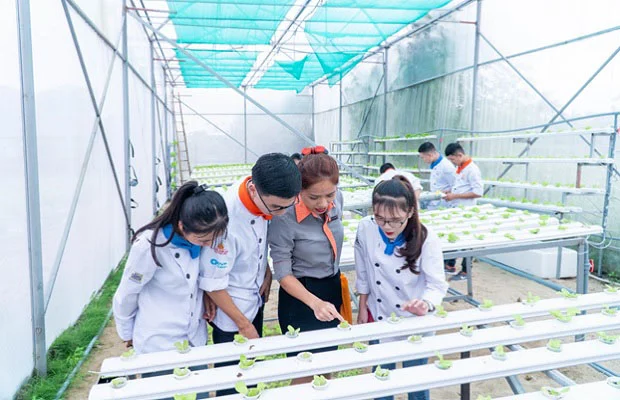 tham quan vườn rau củ sạch