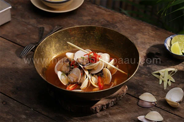 chuyên đề ốc - huongnghiepaau chuyên đề ốc