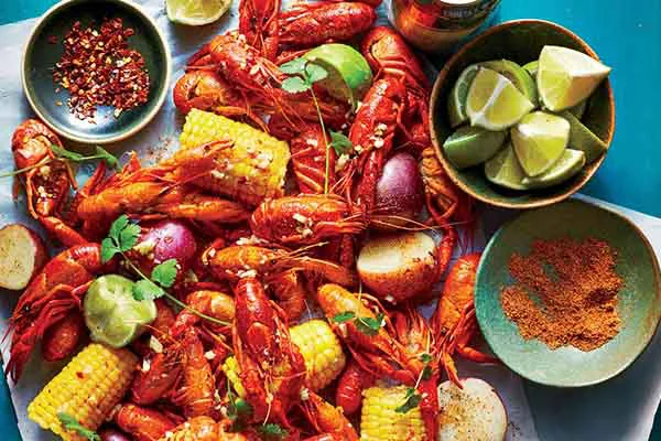 chuyên đề tôm hùm đất - huongnghiepaau chuyên đề tôm hùm đất