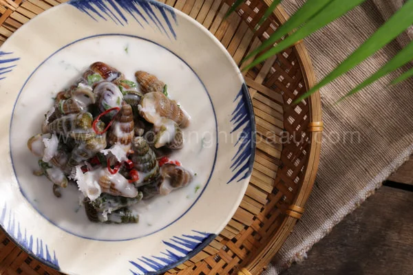 hoc-nau-oc-tai-hnaau