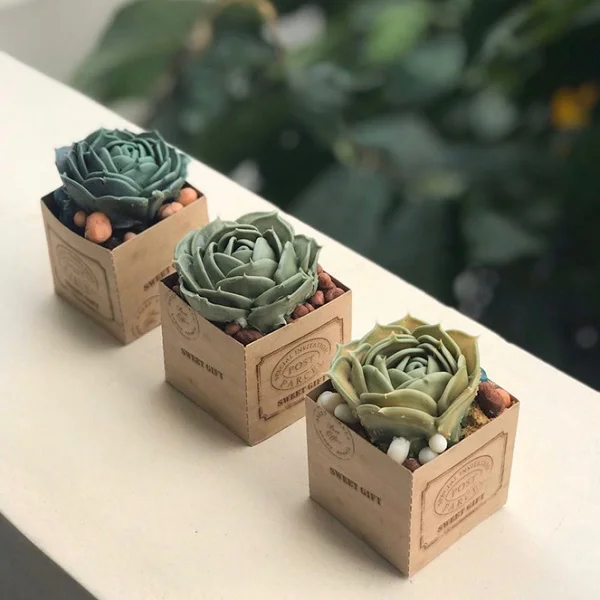 làm thành phẩm bằng so-co-la