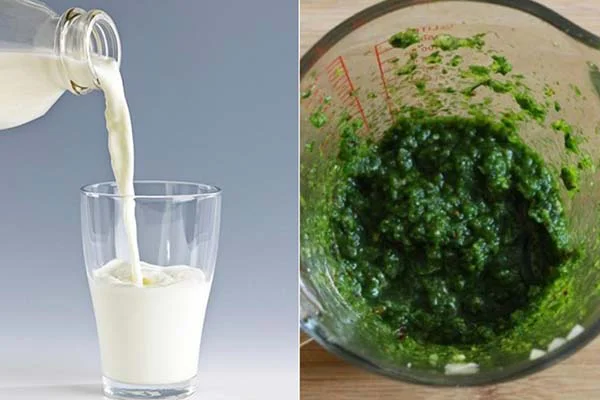 mặt nạ rau diếp cá sữa tươi