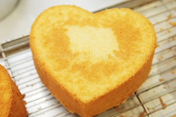 Vanilla Sponge Cake