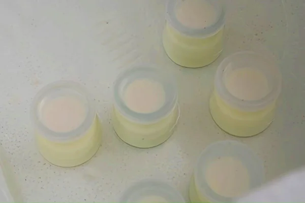 Ủ sữa chua trong thùng xốp