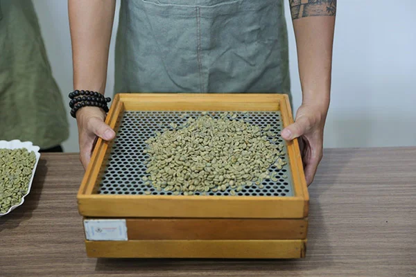 Cà phê nhân xanh được phân loại theo quy chuẩn