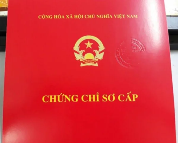 chứng chỉ nghề spa cấp bởi sở lao động thương binh và xã hội