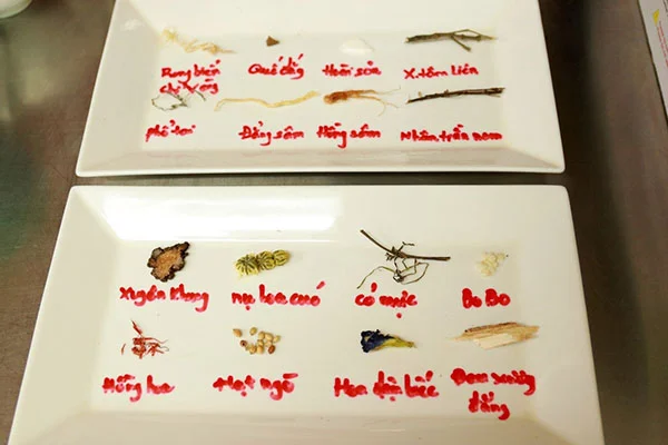 tìm hiểu dược tính trị liệu của các loại thảo mộc