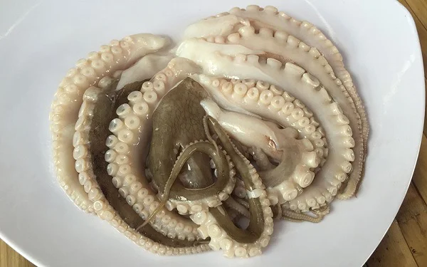 râu bạch tuộc trương phình