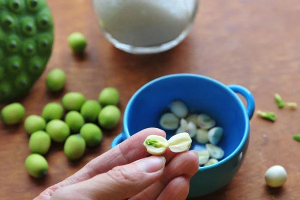 Tim sen có màu xanh lá