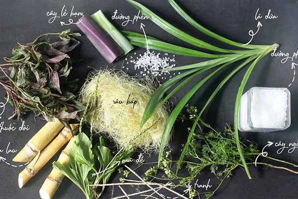 Các nguyên liệu dùng chế biến nước sâm