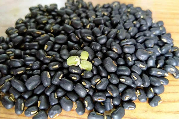 Đậu đen xanh lòng có lượng chất chống oxy hóa