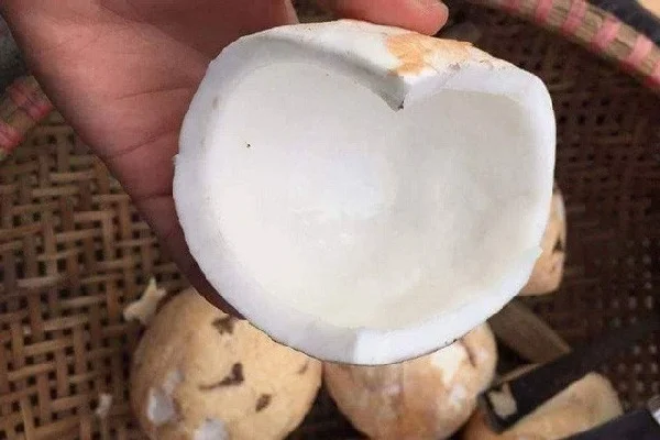 bánh dừa nướng bao nhiêu calo