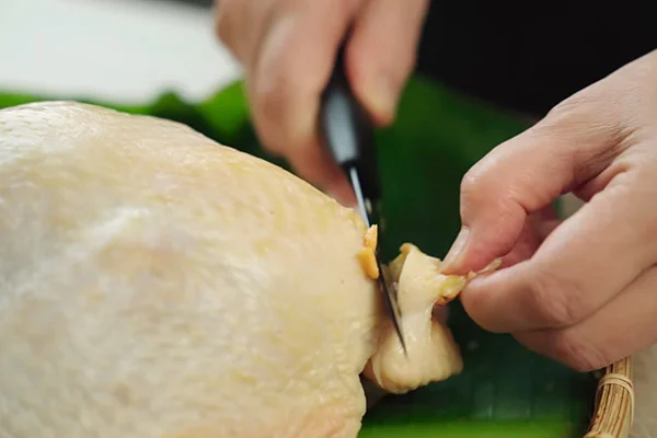 Cắt bỏ phần túi dầu ở phao câu