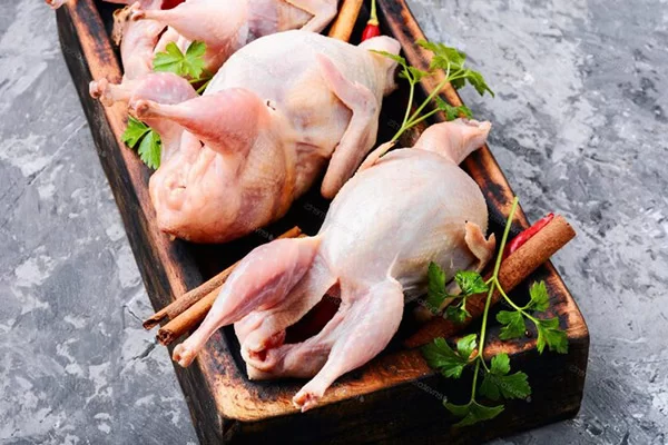 Cách Xử Lý Mùi Chim Bồ Câu