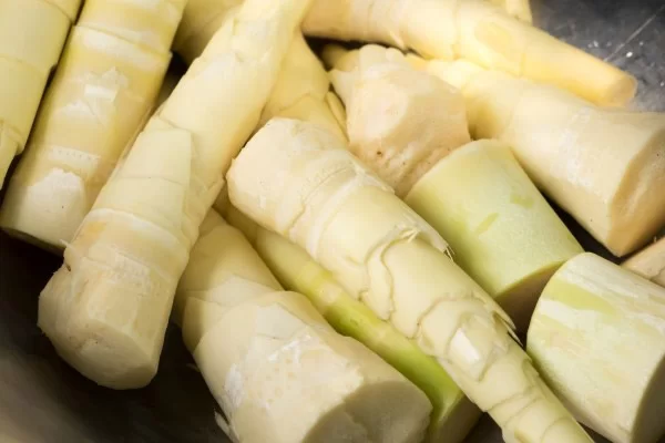 Cách chọn mua măng tươi ngon