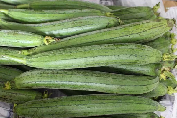 cách chọn mướp ngon