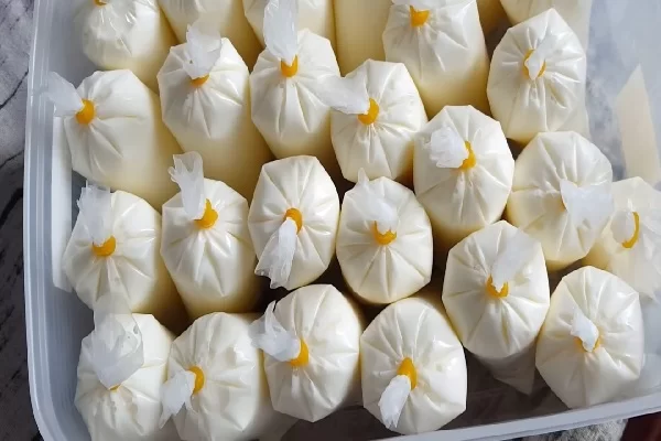 cách làm sữa chua túi