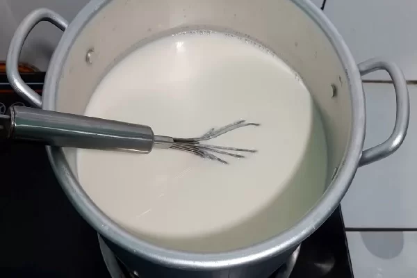 làm sữa chua túi