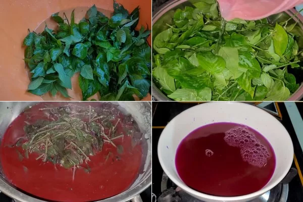 Nấu nước lá cẩm tím