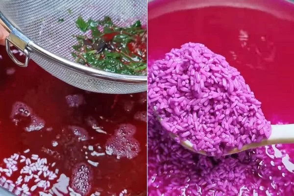 Ngâm nếp với nước lá cẩm cho lên màu tím