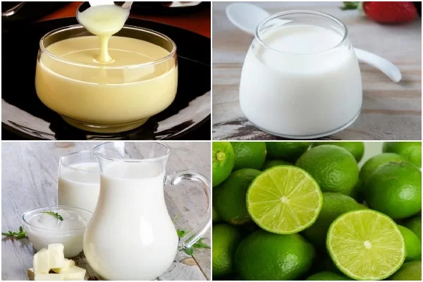 nguyên liệu làm sữa chua đánh đá