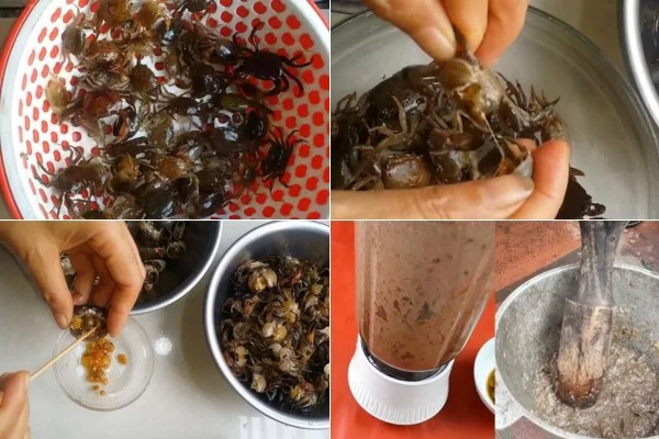 Sơ chế cua đồng thật sạch