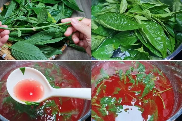 Sơ chế và nấu nước lá cẩm