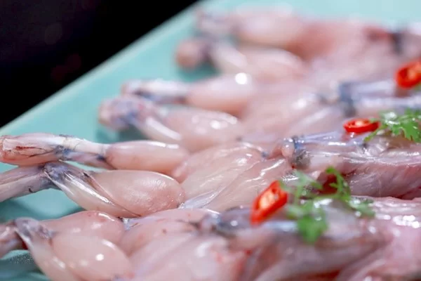 Tác dụng của thịt ếch