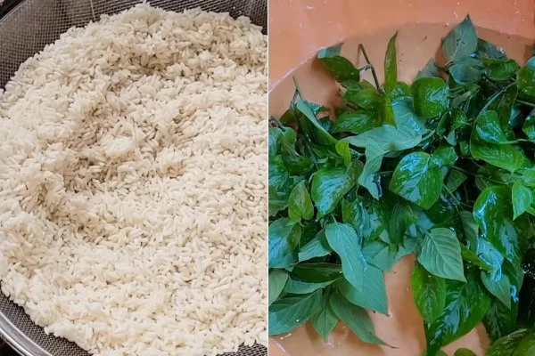 Vo sạch gạo nếp và sơ chế lá cẩm