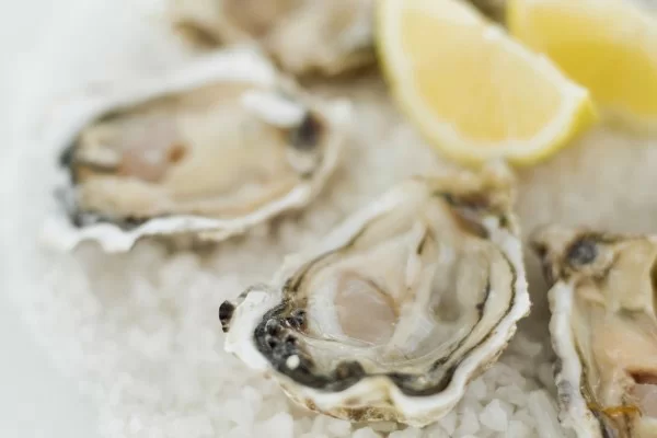 dinh dưỡng và lợi ích của hàu