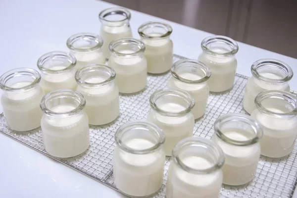 Làm sữa chua bằng nồi cơm điện